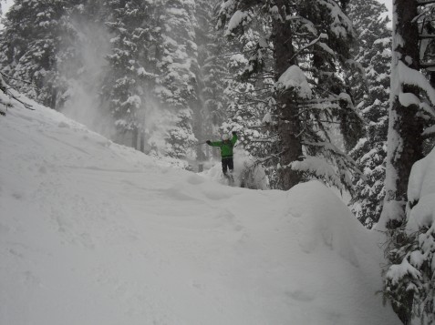 Fernie tree jump