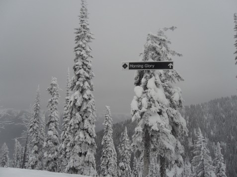 Fernie 4th Jan