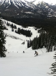 Skiing in Fernie Alpine Resort