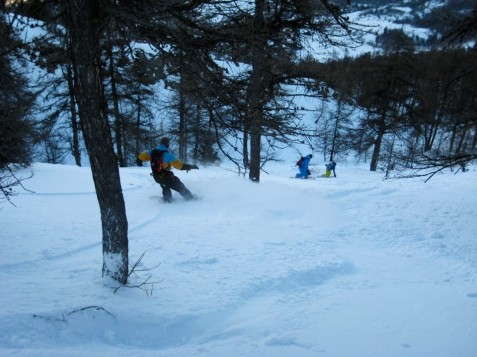 Serre Chevalier trees