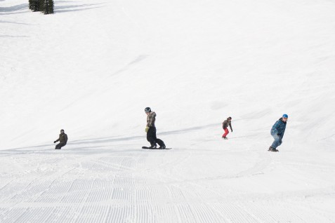 Fernie Groomer