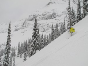 Fernie powder skiing