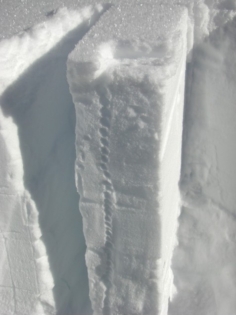 Snow column