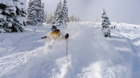 Dave skiing pow