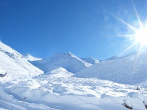 NZ Fresh Snow