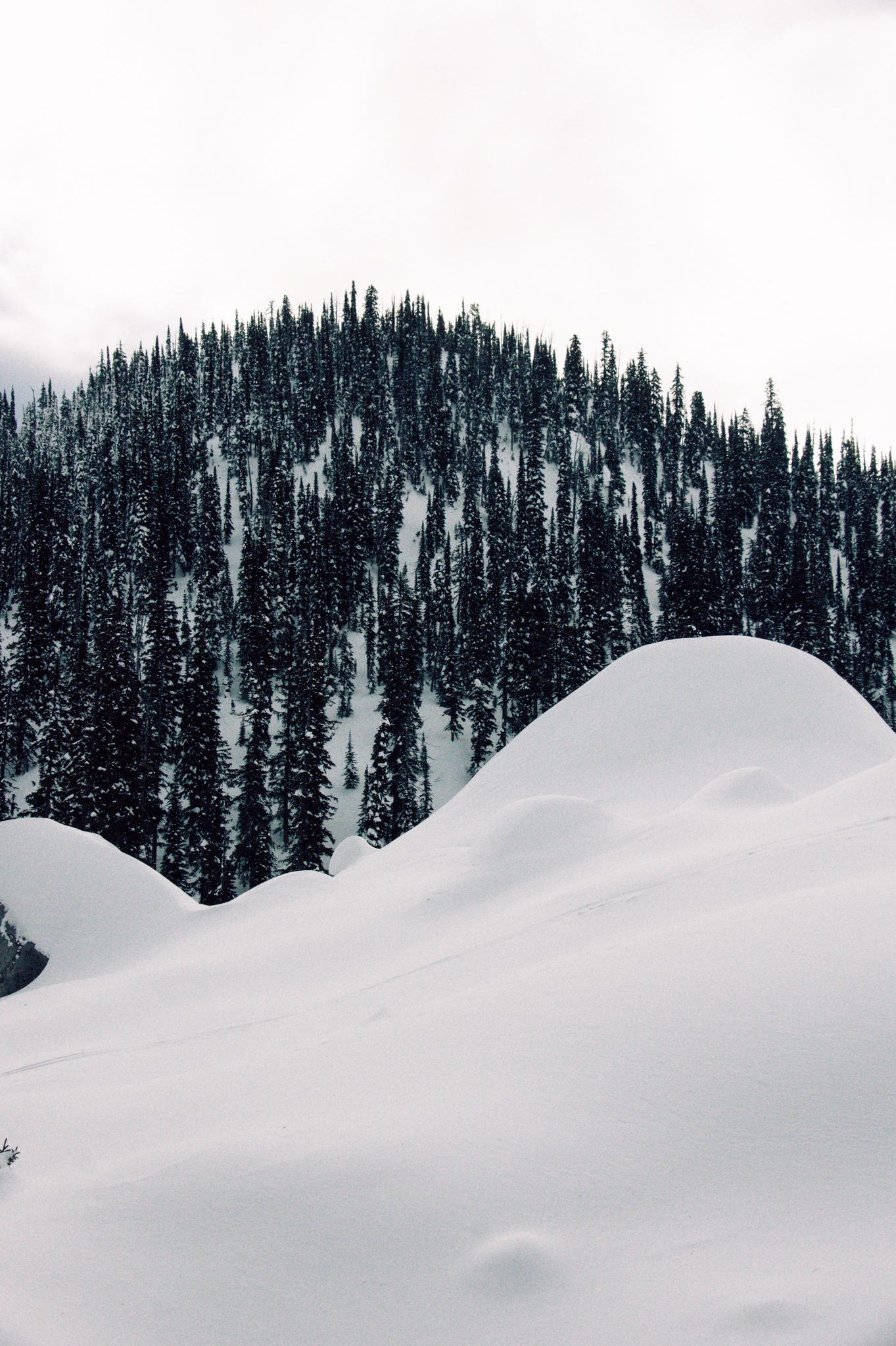 Pillow formations in the Fernie sidecountry.