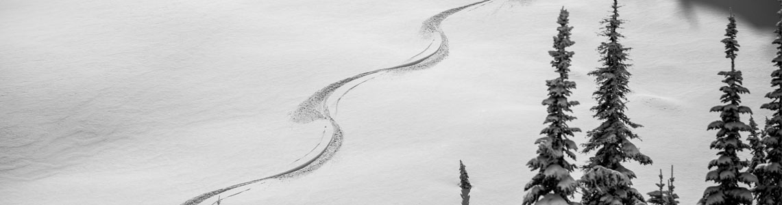 NN Fresh Tracks Fernie BW 1141X300